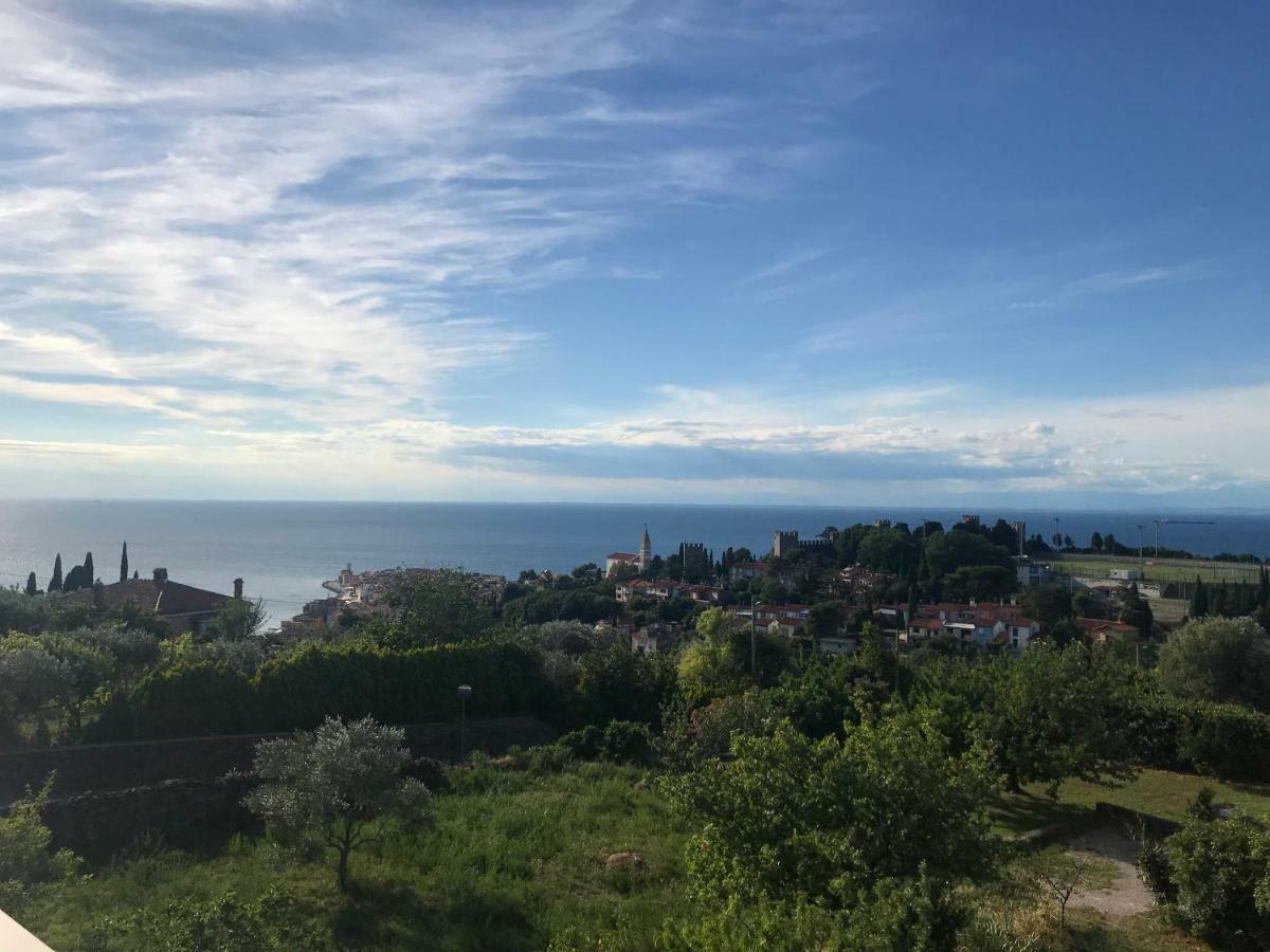 Apartmán Neja