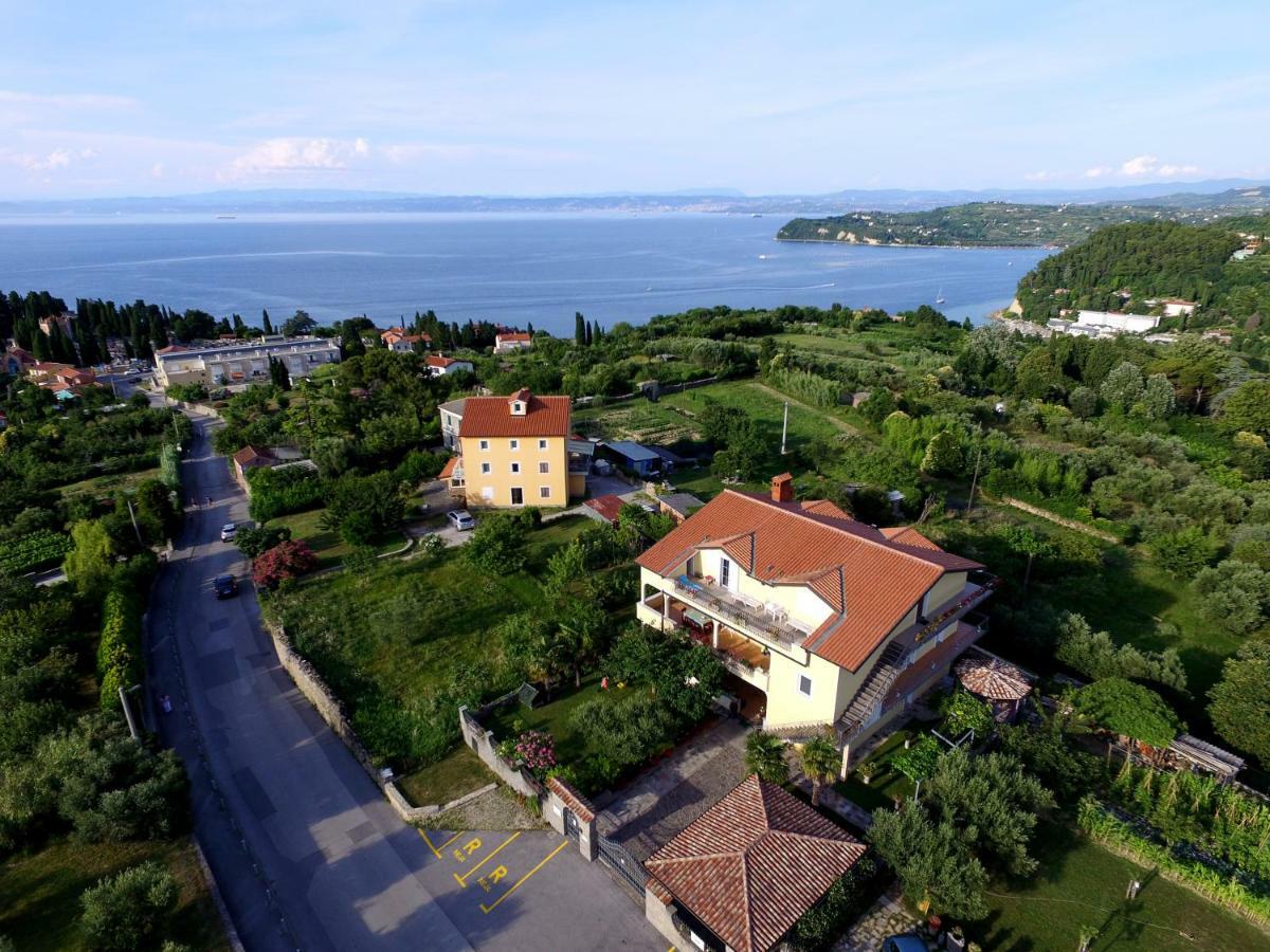 Neja Piran