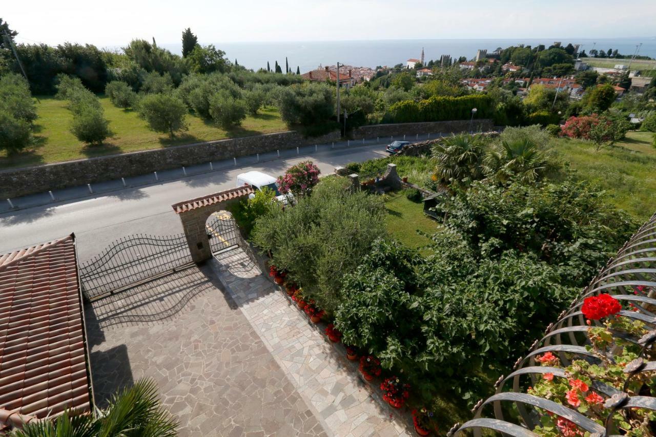 Neja * Piran