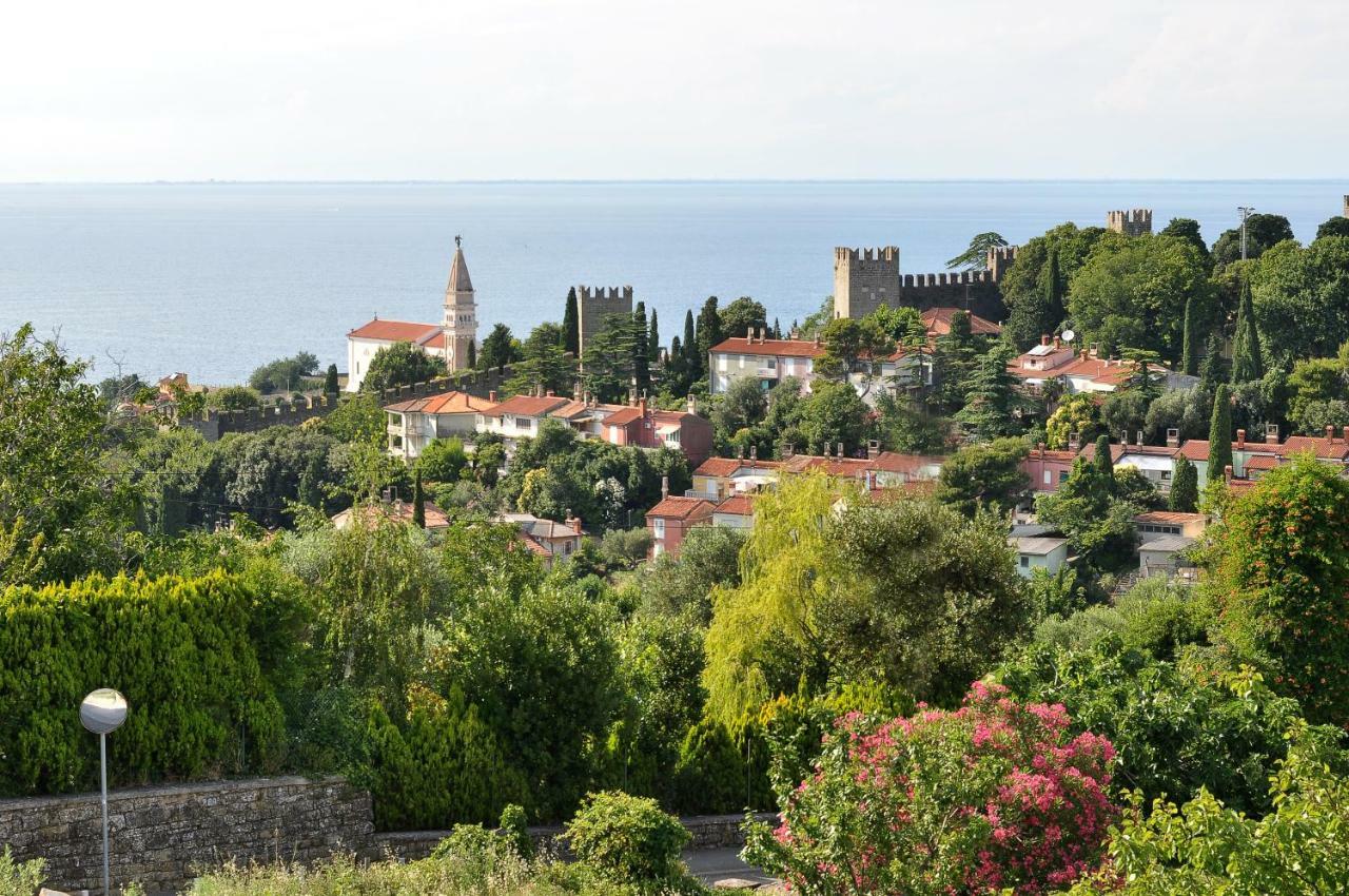 Neja Piran